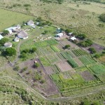 Ikhaya Loxolo arial