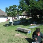 part of yard