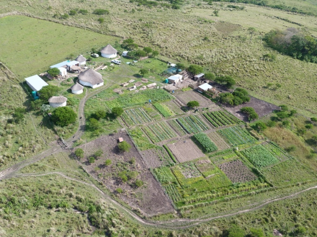 Ikhaya Loxolo arial