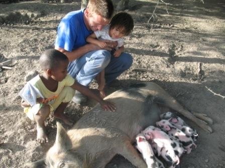 little piggies