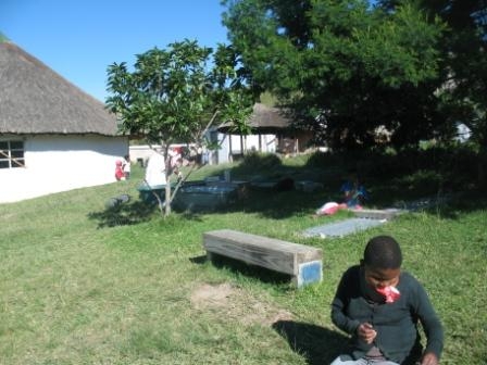 part of yard