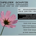 flyer01