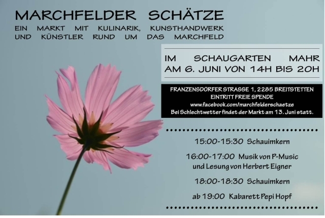 flyer01